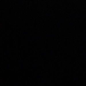 Meet your Posher, Lizz